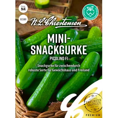 Okurka obecná Picolino F1 obrázek 1 artikel 50051