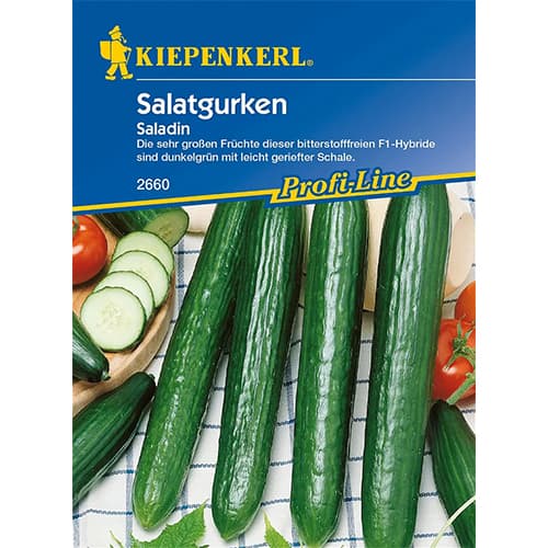 Okurka salátová Saladin artikel fotografie 1 Okurka salátová Saladin obrázek 1 artikel 86455