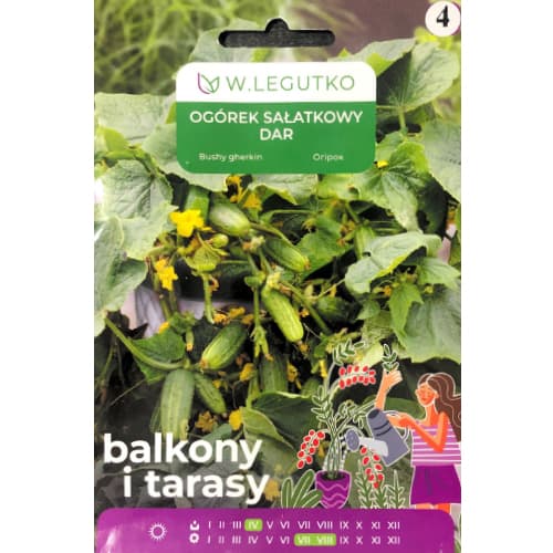 Okurka salátová Dar obrázek 1 artikel 69647