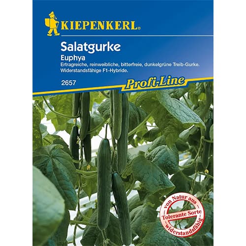 Okurka salátová Euphya F1 obrázek 1 artikel 86521