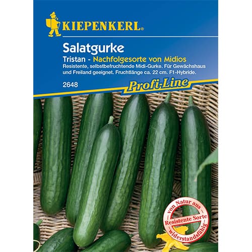 Okurka salátová Midele obrázek 1 artikel 50023