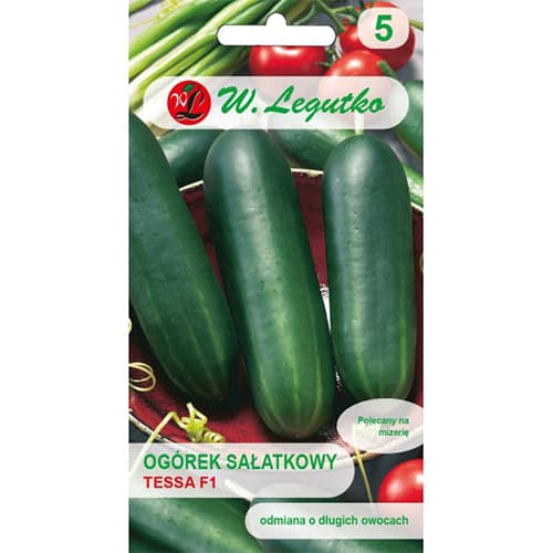 Okurka salátová polní Tessa F1 obrázek 1 artikel 86884