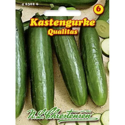 Okurka salátová Qualitas obrázek 1 artikel 96478