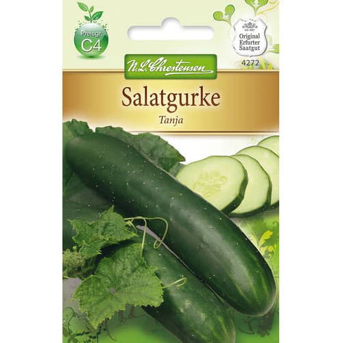 Okurka salátová Tanja obrázek 1 artikel 78792