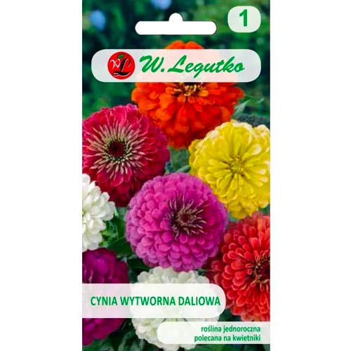 Ostálka sličná jiřinka, směs obrázek 1 artikel 50088