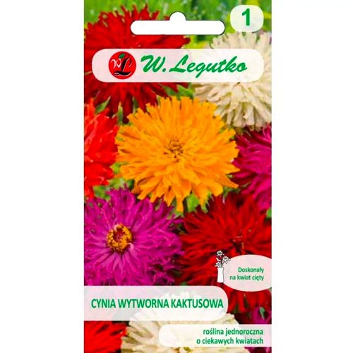 Ostálka sličná kaktus, směs obrázek 1 artikel 86820