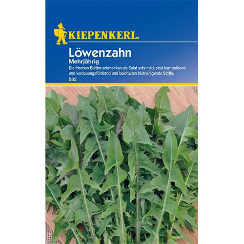 Pampeliška lékařská obrázek 1 artikel 77491