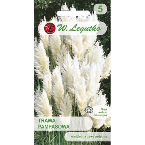 Pampová tráva bílá obrázek 1 artikel 69634