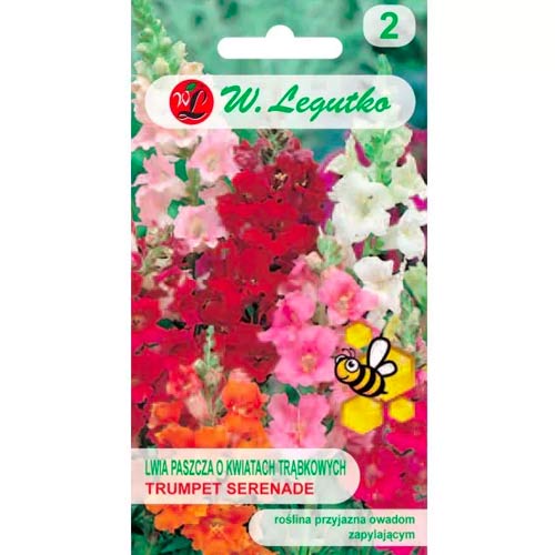 Papuľka vyššia nízká Trumpet Serenade obrázek 1 artikel 78574