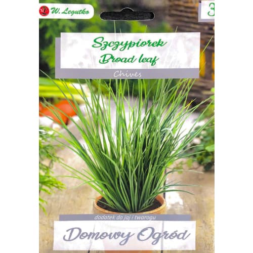 Pažitka Broad Leaf artikel fotografie 1 Pažitka Broad Leaf obrázek 1 artikel 69656