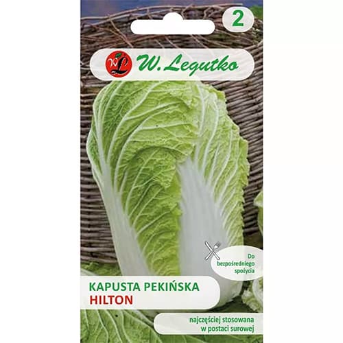 Pekingské zelí Hilton obrázek 1 artikel 69483