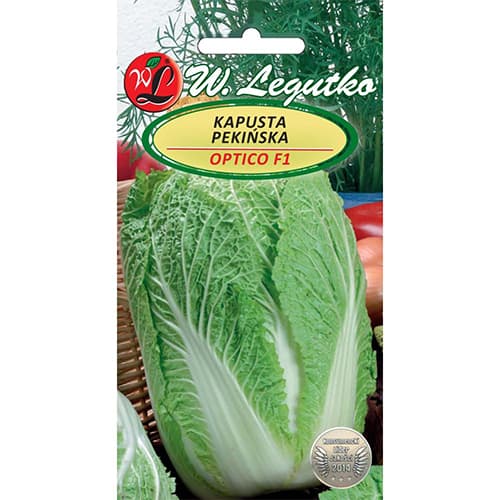 Pekingské zelí Optiko F1 obrázek 1 artikel 78475