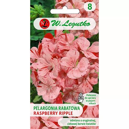 Pelargonie páskatá Divas F1- Raspberry Ripple obrázek 1 artikel 69618