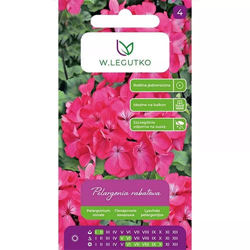 Pelargonie páskatá Gama F1 růžová artikel fotografie 1 Pelargonie páskatá Gama F1 růžová obrázek 1 artikel 69621