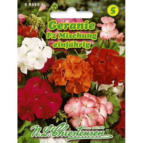 Pelargonie (Geranium) F2, směs obrázek 1 artikel 78929