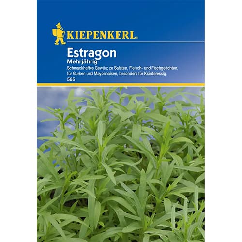 Pelyněk estragon dvouletý obrázek 1 artikel 77498