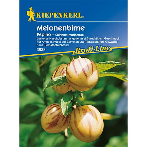 Pepino obrázek 1 artikel 86478