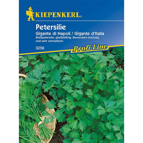 Petržel zahradní Gigante di Napoli obrázek 1 artikel 96644