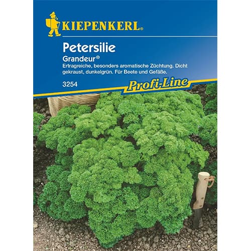 Petržel zahradní Grandeur (Moskrul 2) obrázek 1 artikel 96645