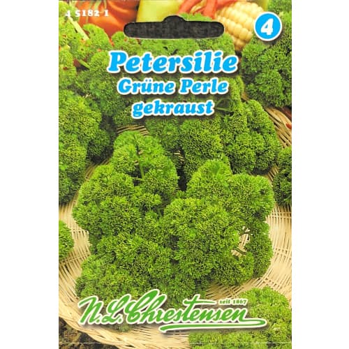 Petržel zahradní Grune Perle artikel fotografie 1 Petržel zahradní Grune Perle obrázek 1 artikel 87849
