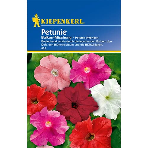 Petúnie balkonová směs obrázek 1 artikel 86298