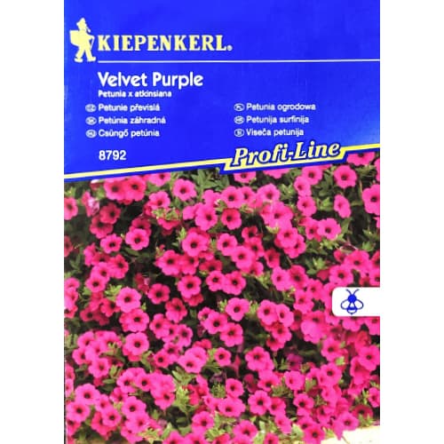 Petúnie Velvet Purple F1 obrázek 1 artikel 50061