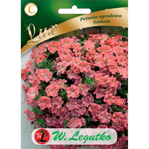 Petúnie zahradní Kaskada lososová obrázek 1 artikel 78671