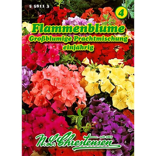 Plamenka Drummondova mnohokvětá, směs obrázek 1 artikel 86180