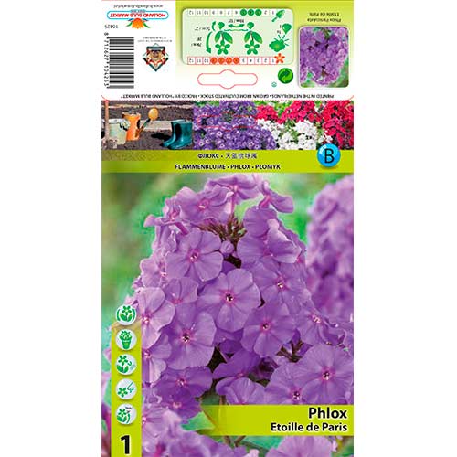 Plaménka Etoile de Paris obrázek 1 artikel 76347