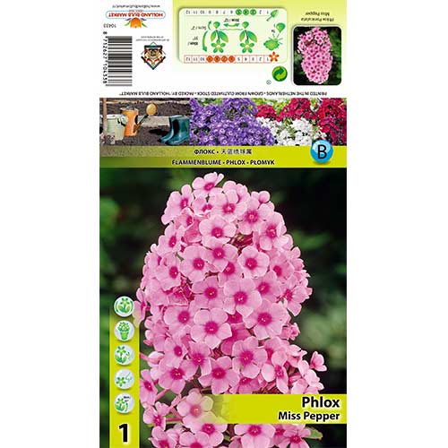 Plaménka Miss Pepper obrázek 1 artikel 70446