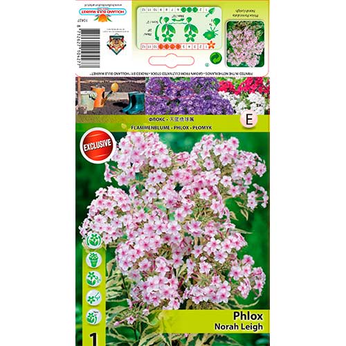 Plaménka Nora Leigh obrázek 1 artikel 70447