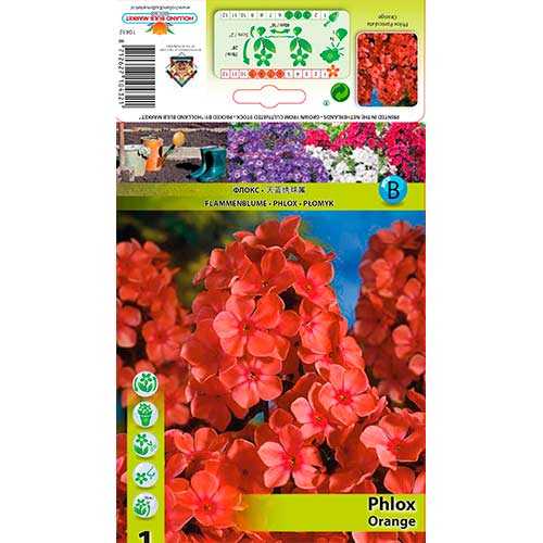 Plaménka Orange artikel fotografie 1 Plaménka Orange obrázek 1 artikel 76617