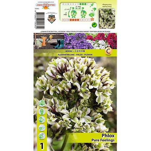 Plaménka Pure Feelings obrázek 1 artikel 70448