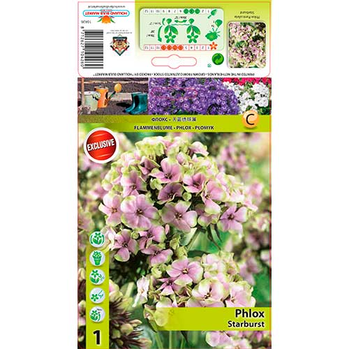 Plaménka Starburst obrázek 1 artikel 76349