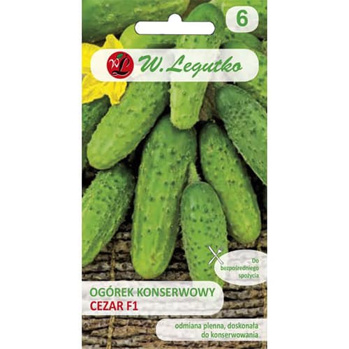 Polní nakládaná okurka Cezar F1 artikel fotografie 1 Polní nakládaná okurka Cezar F1 obrázek 1 artikel 86874