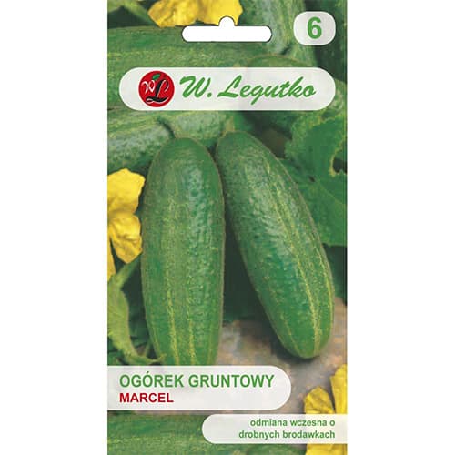 Polní nakládaná okurka Marcel F1 obrázek 1 artikel 86877