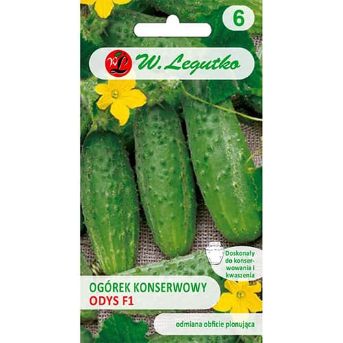 Polní nakládaná okurka Odys F1 obrázek 1 artikel 86879