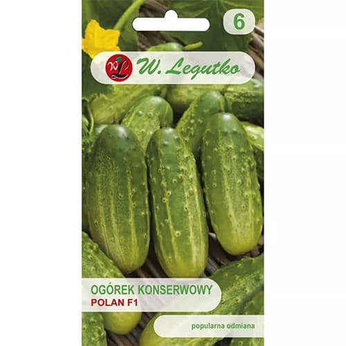 Polní nakládaná okurka Polan F1 obrázek 1 artikel 86857