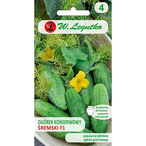 Polní nakládaná okurka Śremski F1 artikel fotografie 1 Polní nakládaná okurka Śremski F1 obrázek 1 artikel 78488