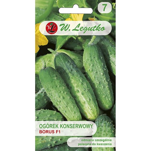 Polní okurka pro moření Borus F1 obrázek 1 artikel 86882