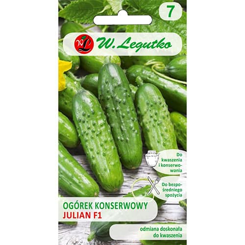 Polní okurka pro moření Julian F1 artikel fotografie 1 Polní okurka pro moření Julian F1 obrázek 1 artikel 86883