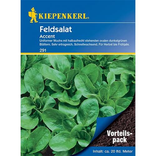 Polní salát Accent obrázek 1 artikel 77494