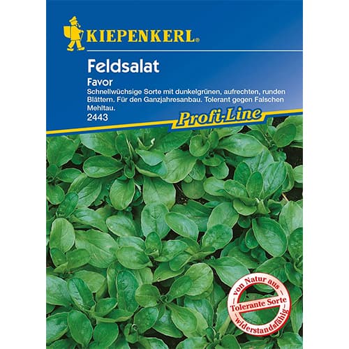Polní salát Favor obrázek 1 artikel 86449