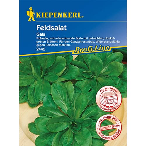 Polní salát Gala obrázek 1 artikel 86450