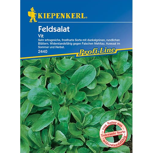 Polní salát Vit artikel fotografie 1 Polní salát Vit obrázek 1 artikel 77495