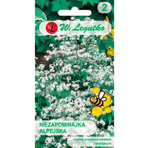 Pomněnka alpská bílá obrázek 1 artikel 78612