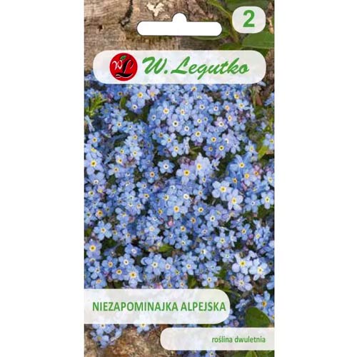 Pomněnka alpská modrá obrázek 1 artikel 78614