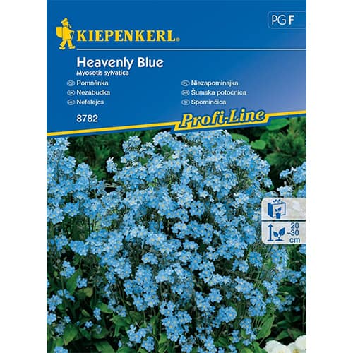 Pomněnka Heavenly Blue obrázek 1 artikel 96561