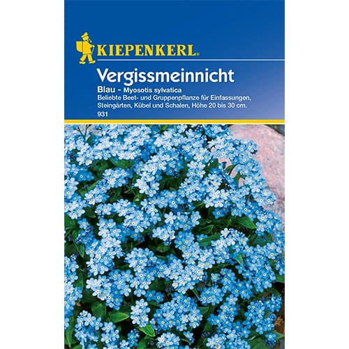Pomněnka lesní Blau artikel fotografie 1 Pomněnka lesní Blau obrázek 1 artikel 96588