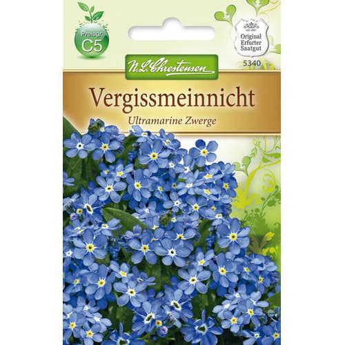 Pomněnka Ultramarine Zwerge obrázek 1 artikel 78959